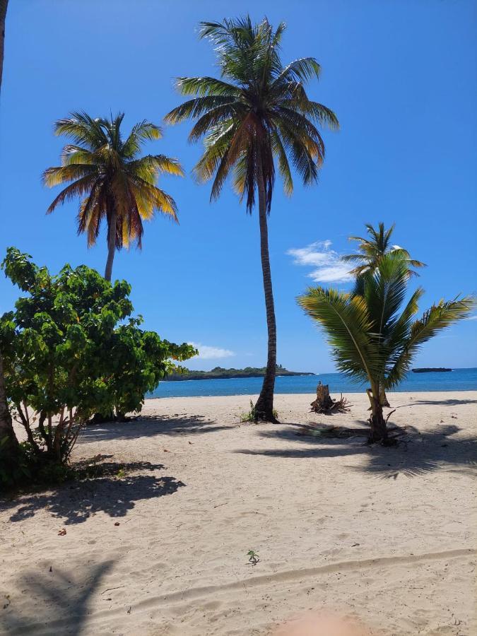 Cabana Playa Cambiaso Bed & Breakfast Puerto Plata ภายนอก รูปภาพ