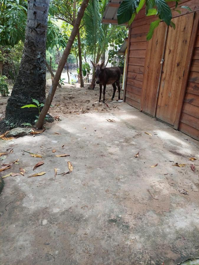 Cabana Playa Cambiaso Bed & Breakfast Puerto Plata ภายนอก รูปภาพ