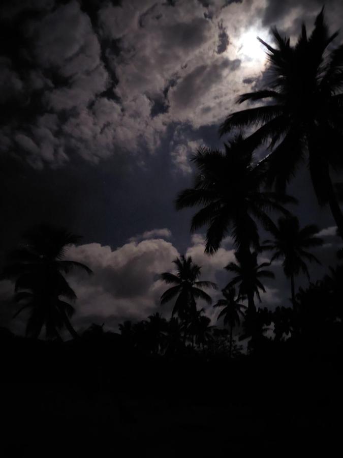 Cabana Playa Cambiaso Bed & Breakfast Puerto Plata ภายนอก รูปภาพ